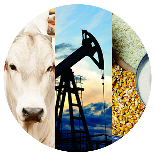 mercados-agricolas
